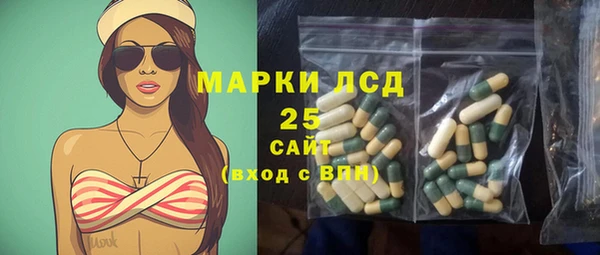 PSILOCYBIN Абаза