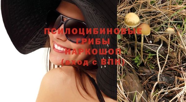 PSILOCYBIN Абаза