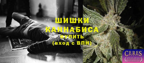 PSILOCYBIN Абаза