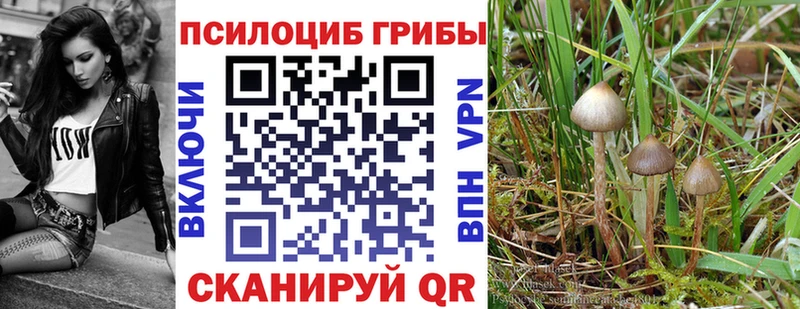 Галлюциногенные грибы Magic Shrooms Стерлитамак