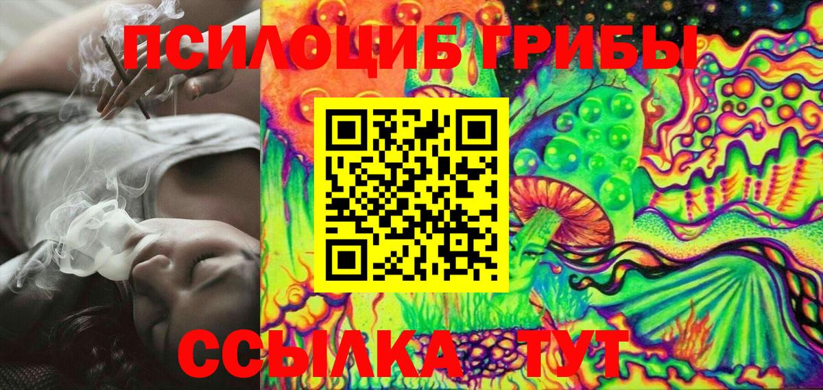 Стерлитамак  Псилоцибиновые грибы ЛСД  Псилоцибиновые грибы MAGIC MUSHROOMS  Вход с VPN 